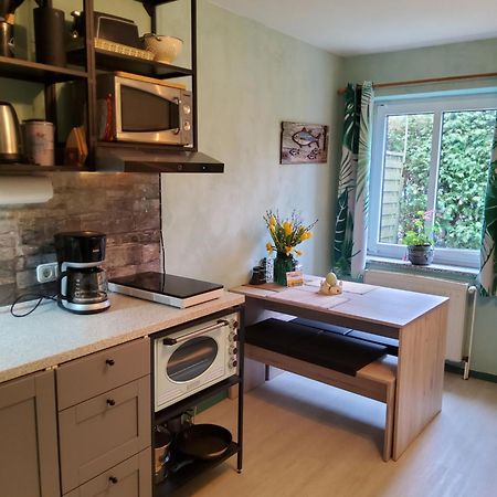 Studio-Apartment Mit Kleinem Gartenanteil Burg auf Fehmarn Esterno foto